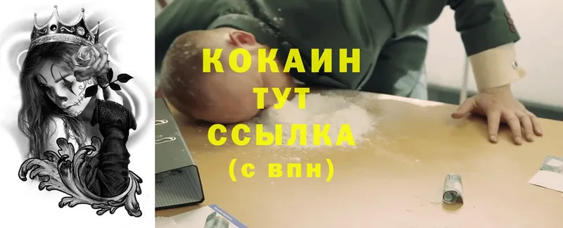 цена   Балтийск  mega как войти  Cocaine VHQ 